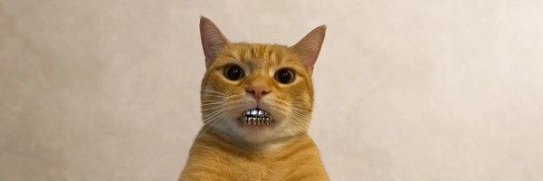 GRILLZ Token Header