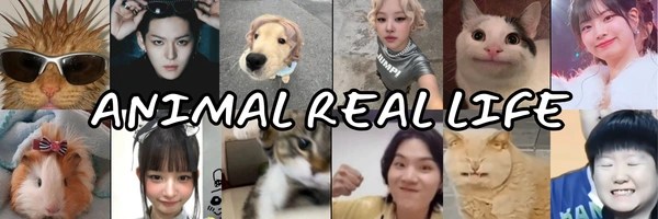 real life Token Header