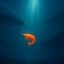 in a world of whales Icon