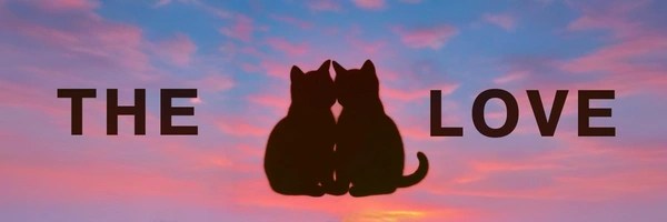 The Love Token Header
