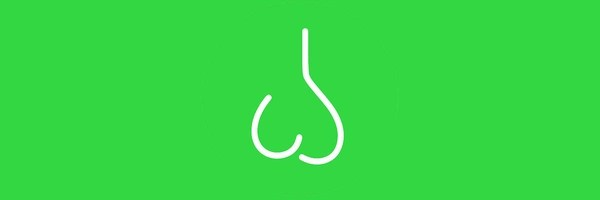 Nutless Coin Token Header