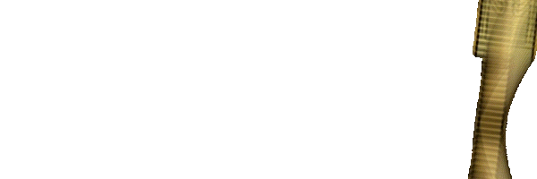 7 Token Header