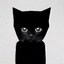 Bro The Cat Icon