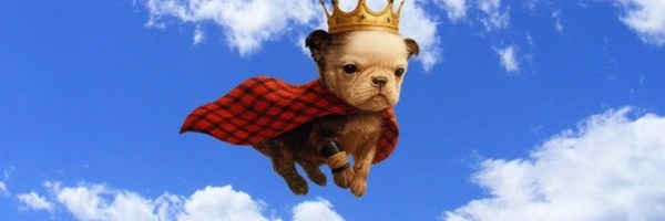 walter Token Header