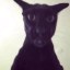 evil Larry Icon