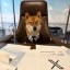 Flōki ceo of x Icon