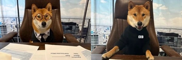 Flōki ceo of x Token Header