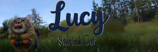 StarLink Cat Token Header