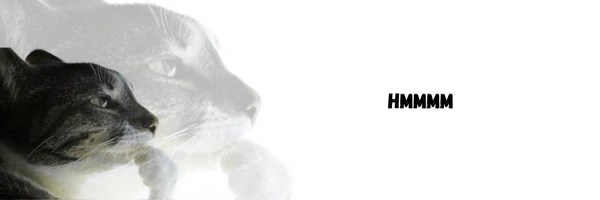 hmm Token Header