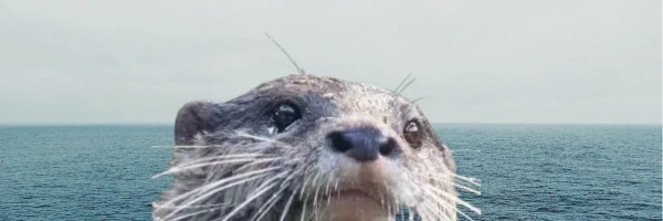 Officer Splash Token Header