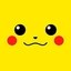 PIKA CAPITAL Icon