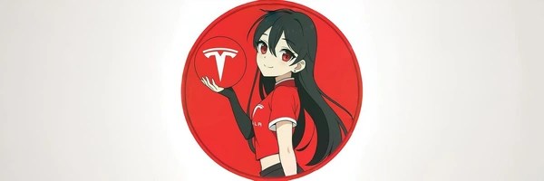 Tesla-Chan Token Header