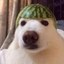 Watermelon Hat Icon