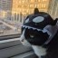orca cat Icon