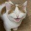 smile like a mew Icon