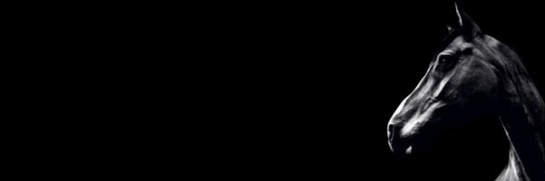 darkhorse Token Header