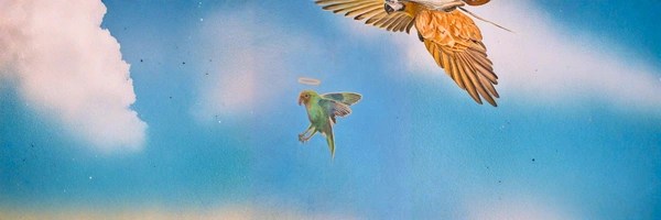 Abu Chicken the Parrot Token Header