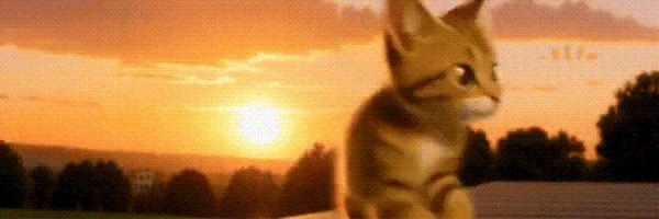 felisandrecat Token Header