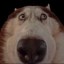 boop Icon
