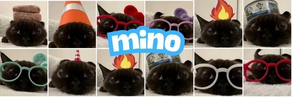 mino Token Header