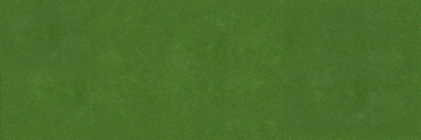 PEPE + SOLANA = PEPENA Token Header