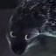 the looker Icon