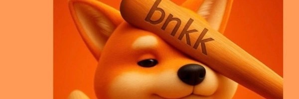 bonk Token Header