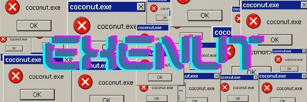 Coconut.exe Token Header