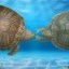 us in another universe Icon