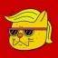 NYUMP CAT Icon