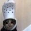 croc cat Icon