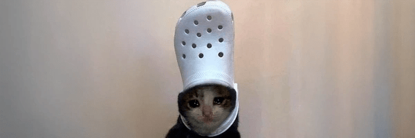 croc cat Token Header