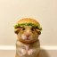 hamster + burger Icon