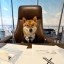 Floki X CEO Icon