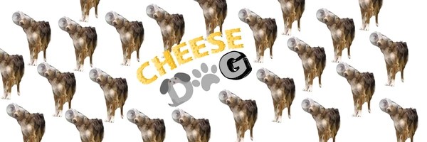 CHEDDAR Token Header