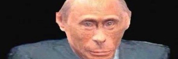 Lil Poot Token Header