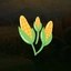 Corn Protocol Icon