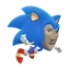 Sonk on Bonk Icon