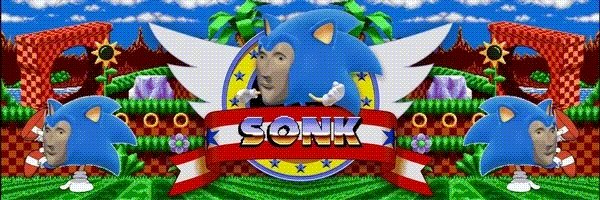 Sonk on Bonk Token Header