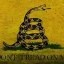 DONT TREAD ON ME Icon