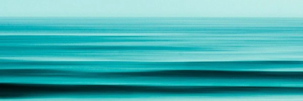 cryptodan Token Header