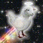 HolyOrbitalLambDove Icon